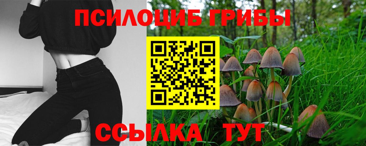 Псилоцибиновые грибы Psilocybine cubensis  Псилоцибиновые грибы GOLDEN TEACHER  Вход с VPN  Унеча 
