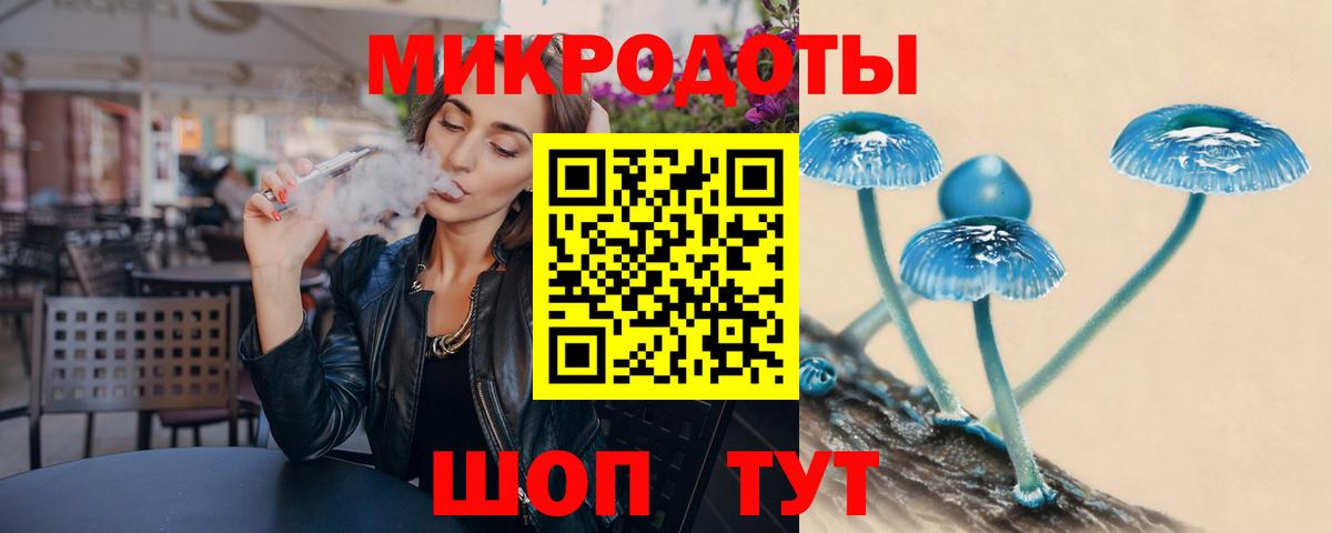 Псилоцибиновые грибы Cubensis Унеча